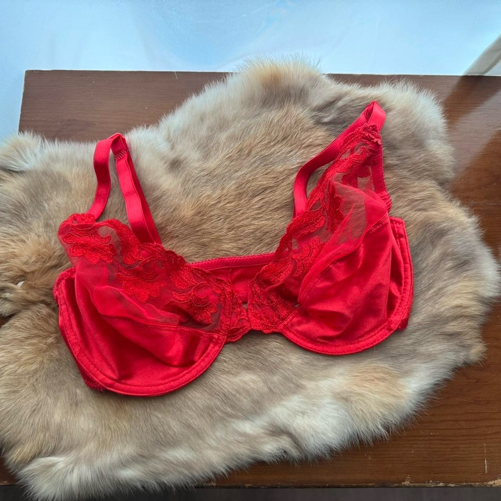 Vintage Red Christian Dior Bra 34D
